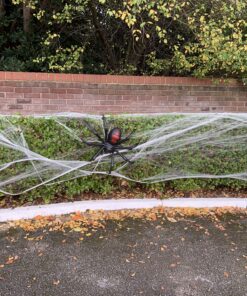 Light Up spider on web