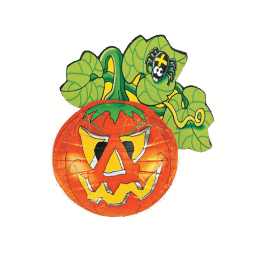 Pumpkin Chocolate - 12.5g