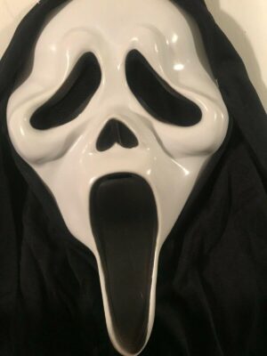 Ghost Face Halloween Fancy-Dress Costume (teen)